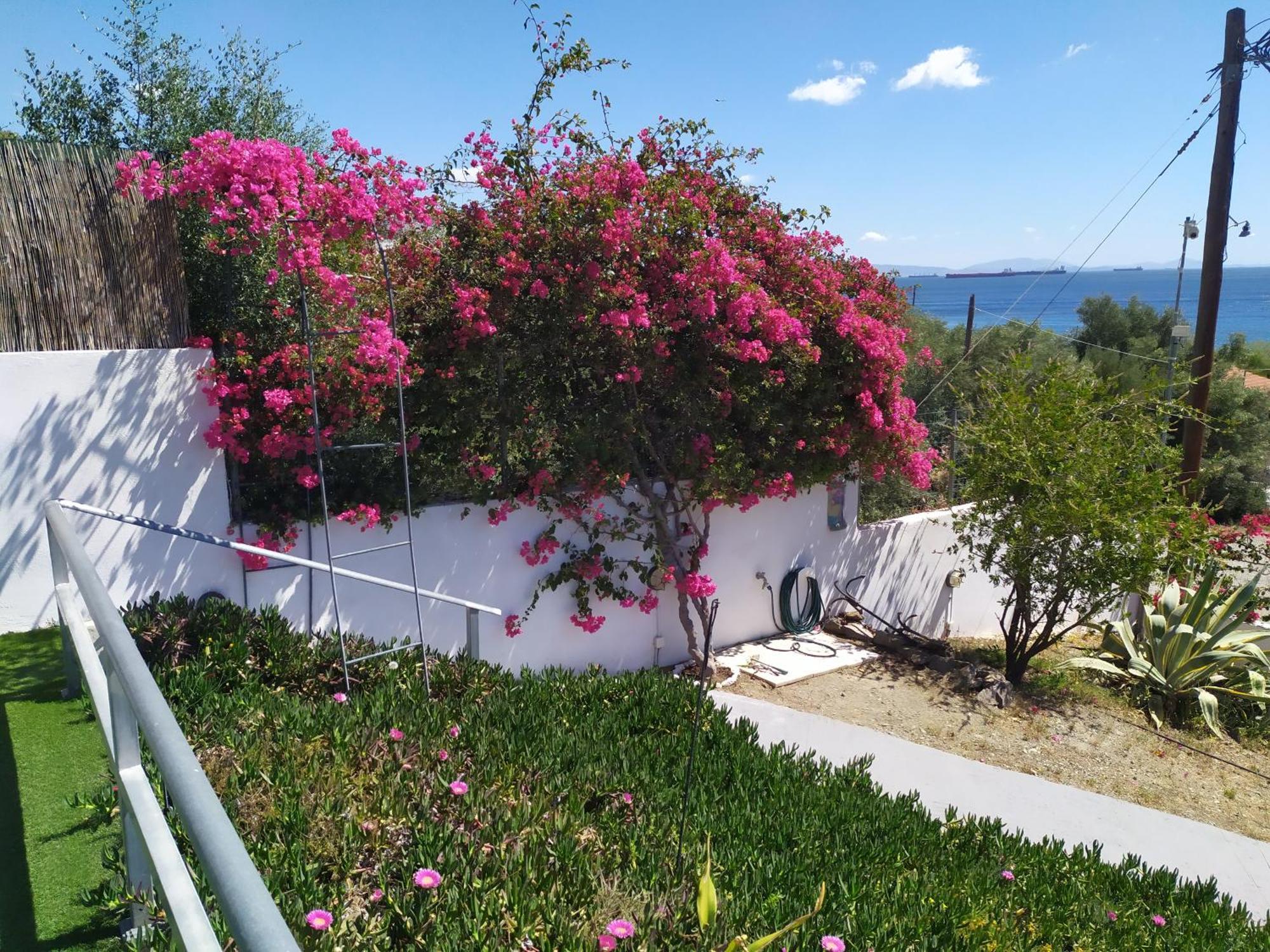 Thalassa Panagia  Luaran gambar