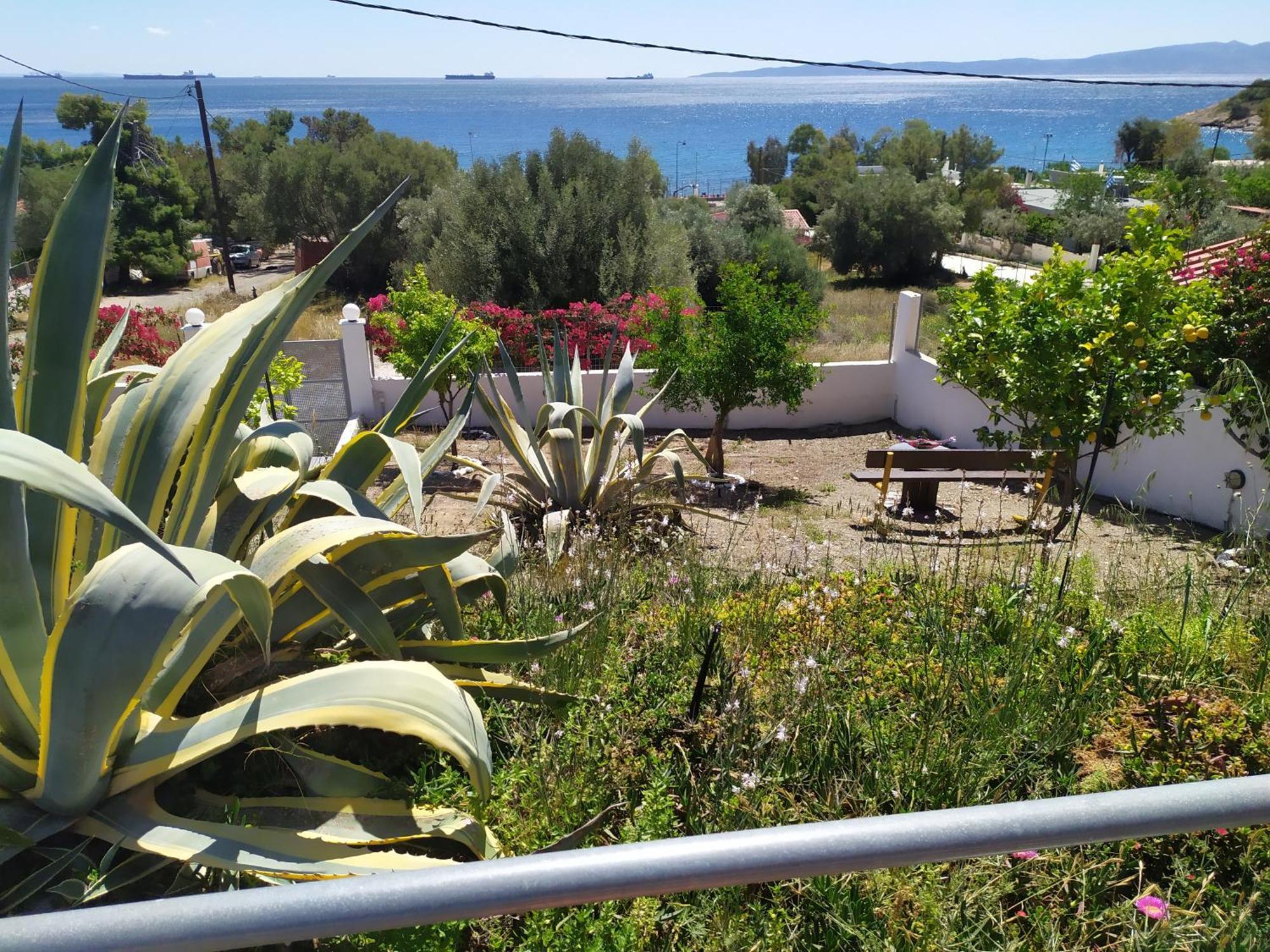 Thalassa Panagia  Luaran gambar